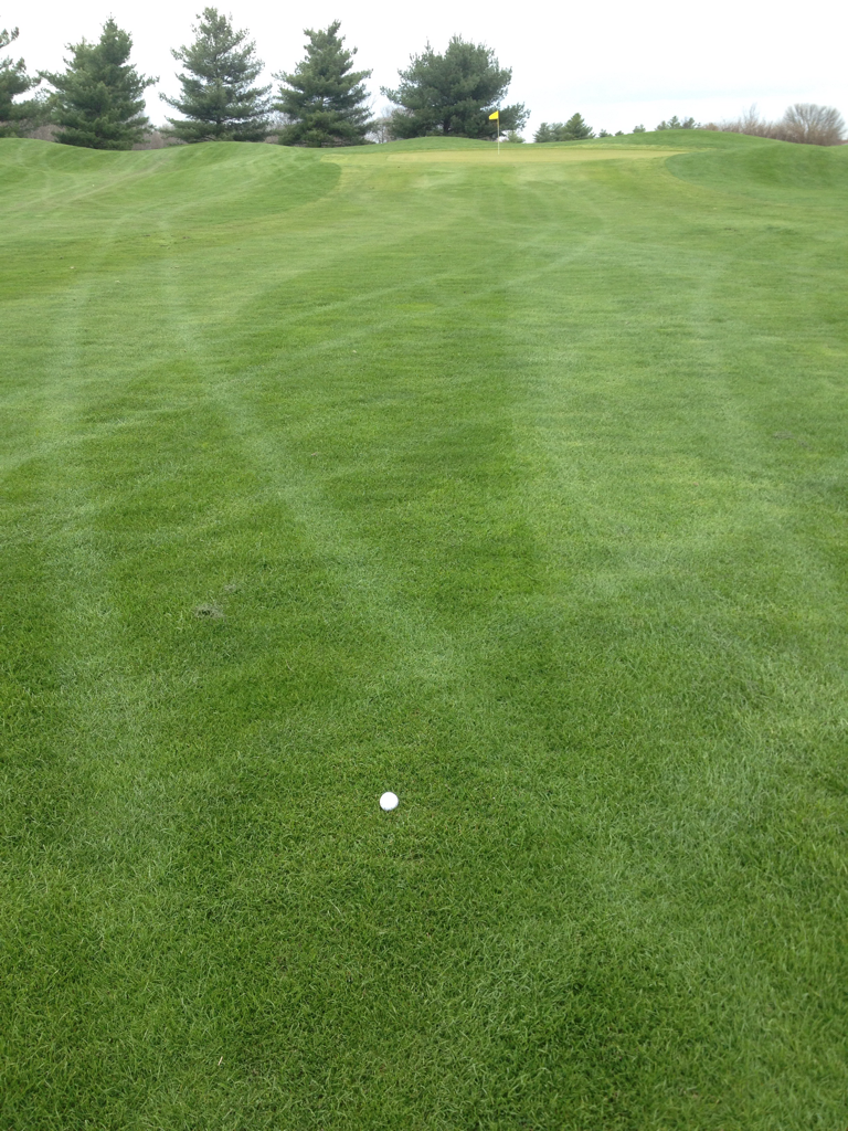 Meadowview Golf Course - Mattoon, Illinois, United States of America |  SwingU