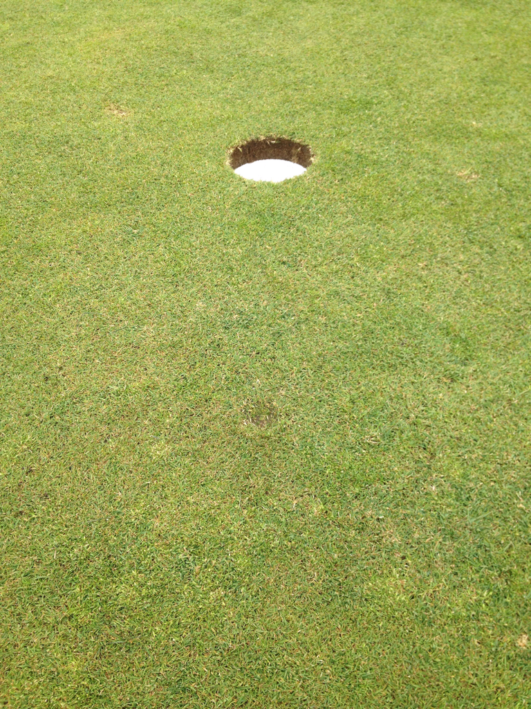 Meadowview Golf Course - Mattoon, Illinois, United States of America |  SwingU