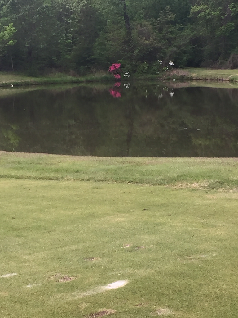 Cherokee Valley Golf Club Olive Branch Mississippi United States Of 