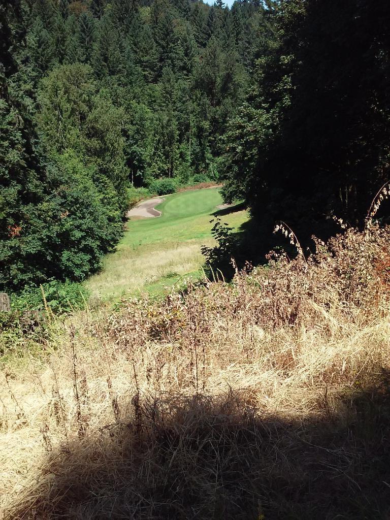 Mountain View Golf Club - Boring, Oregon, United States of America | SwingU
