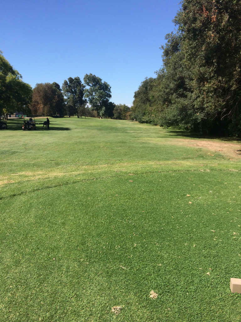 haggin oaks pro shop