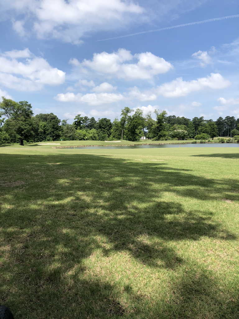 Honey Bee Golf Club Virginia Beach, VA, United States Swing By Swing