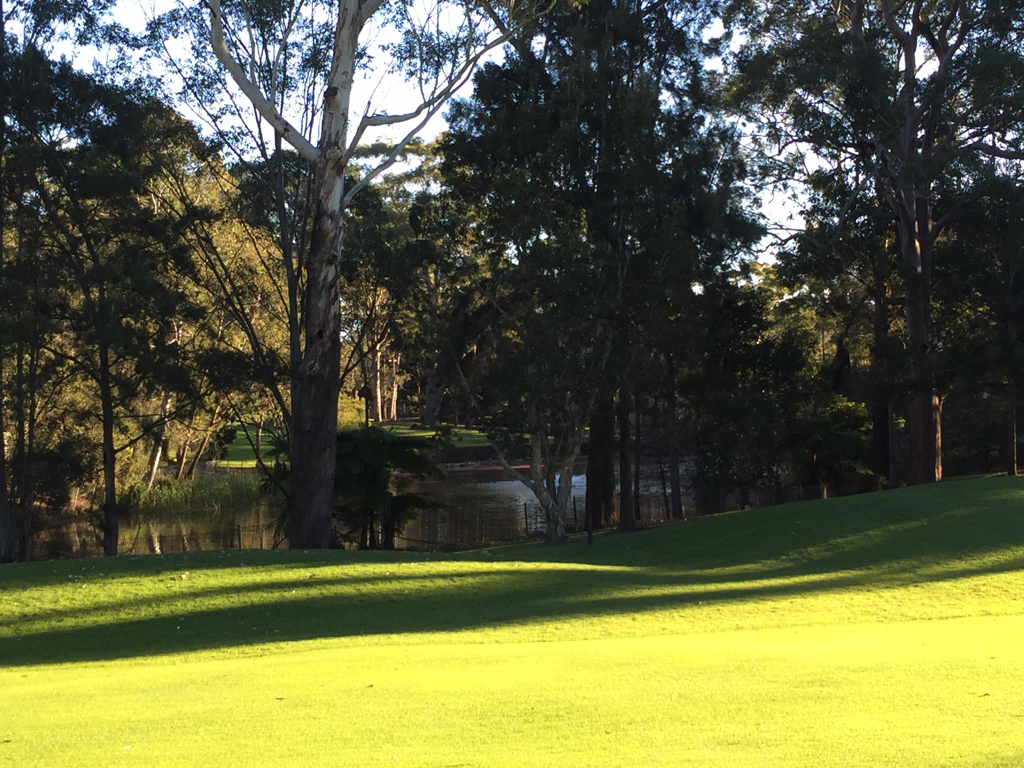 Killara Golf Club Killara, NSW, Australia Swing By Swing