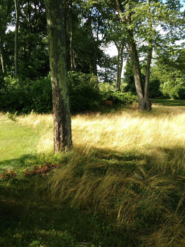 Patriot Golf Course Bedford Massachusetts United States Of America 