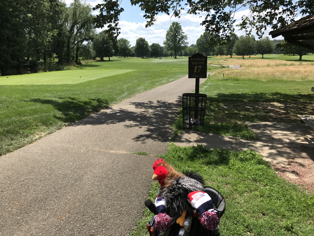 Brookledge Golf Course Cuyahoga Falls Ohio United States Of America 