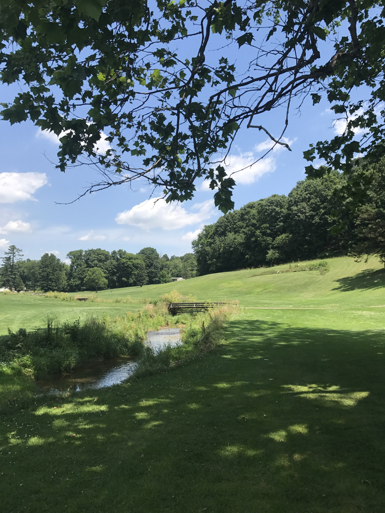 Swingers in youngwood pa