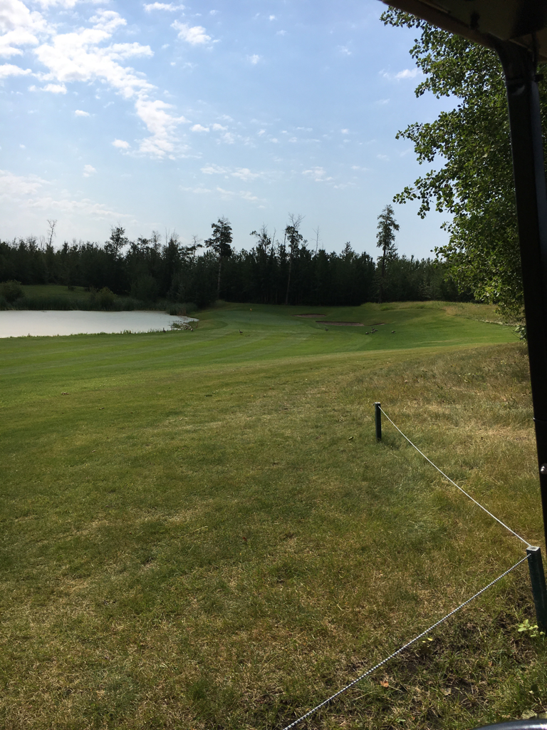 Northern Bear Golf Club Sherwood Park, AB, Canada Swing By Swing