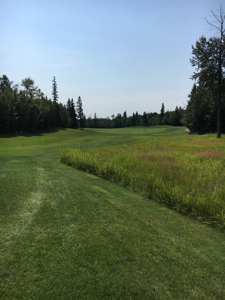 Northern Bear Golf Club Sherwood Park, AB, Canada Swing By Swing