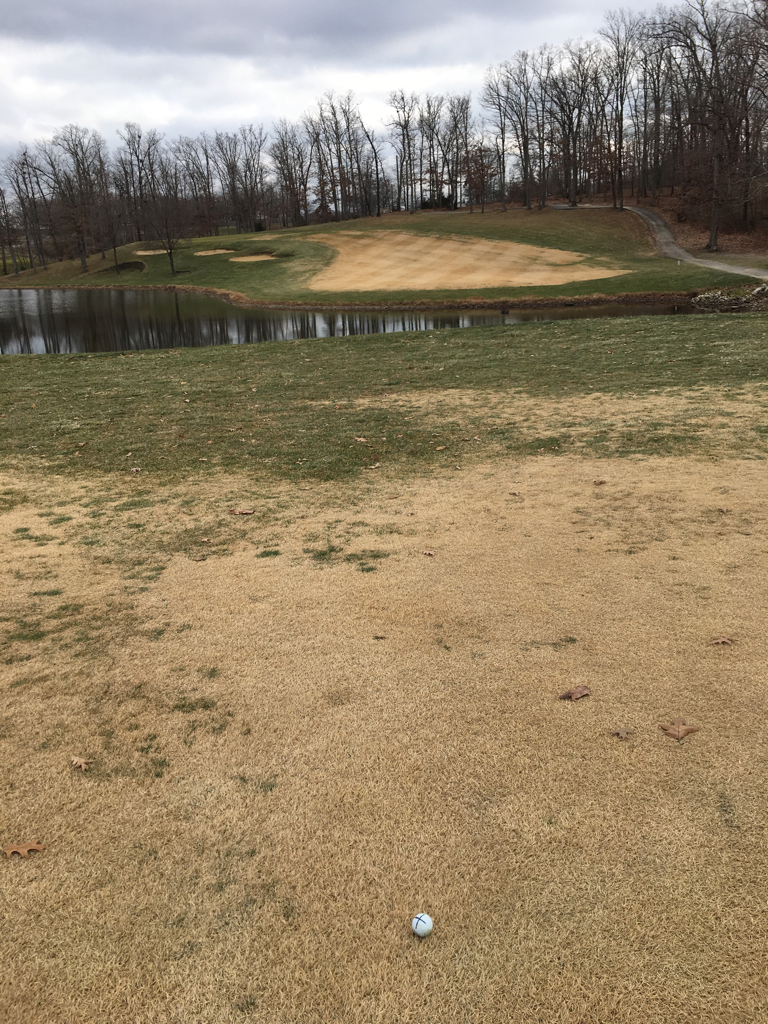 country lakes, warrenton, Missouri Golf course information and reviews.