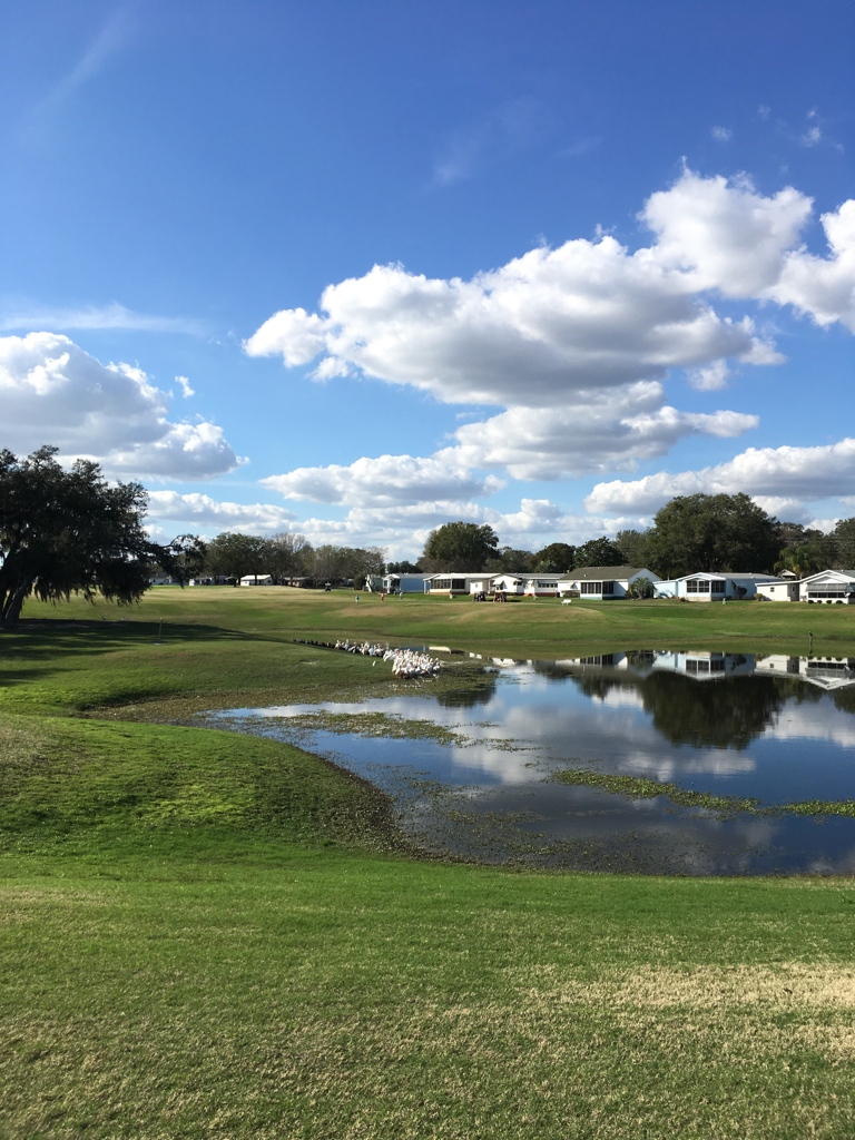 silver-lake-golf-course-lady-lake-florida-united-states-of-america