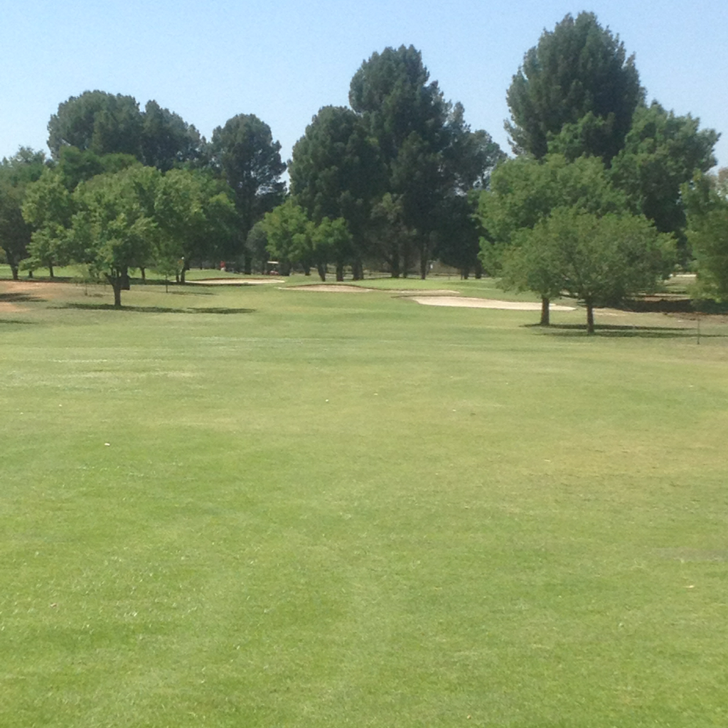 Orkney Golf Club Orkney, North West, South Africa Swing By Swing
