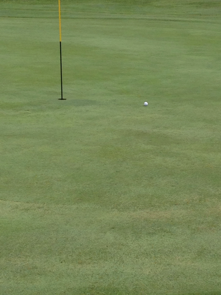 Old Pines Golf Club - Wauseon, Ohio, United States of America | SwingU