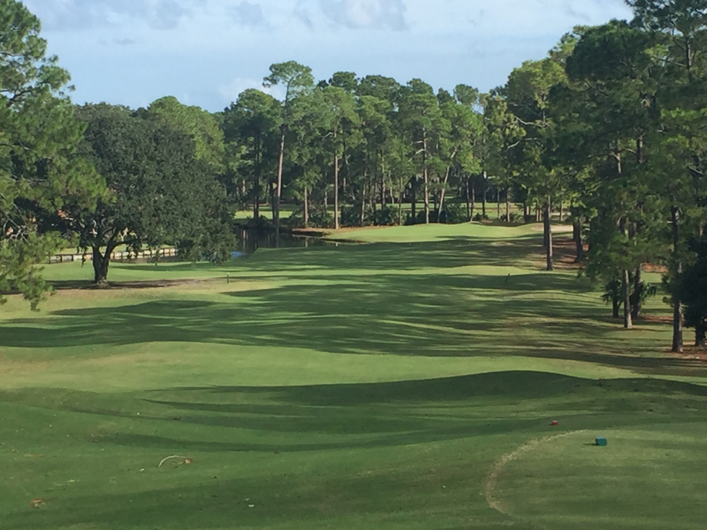 Hidden Hills Country Club Jacksonville, FL, United States Swing By