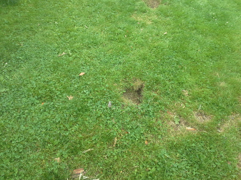 Hendricks Field Golf Course Belleville New Jersey United States Of 