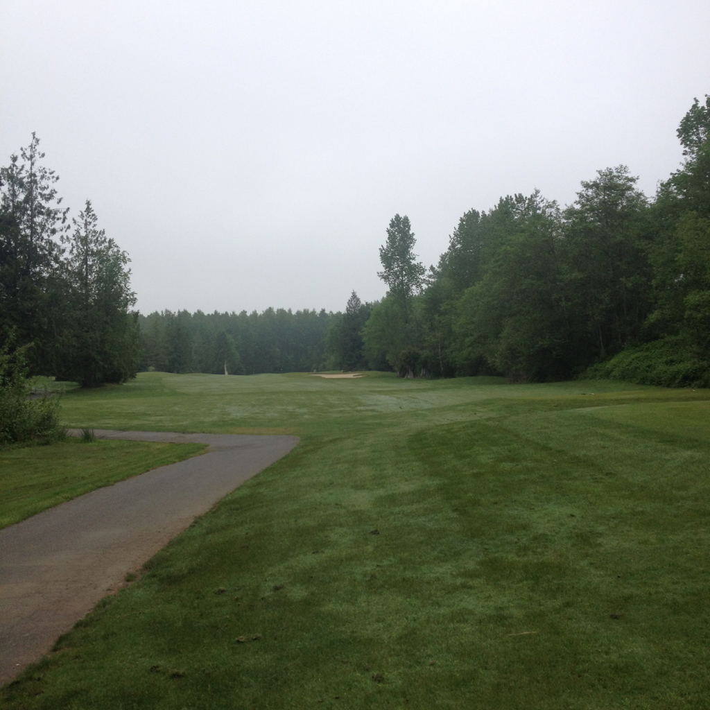 Avalon Golf Club (North Course) Burlington, WA, United States Swing