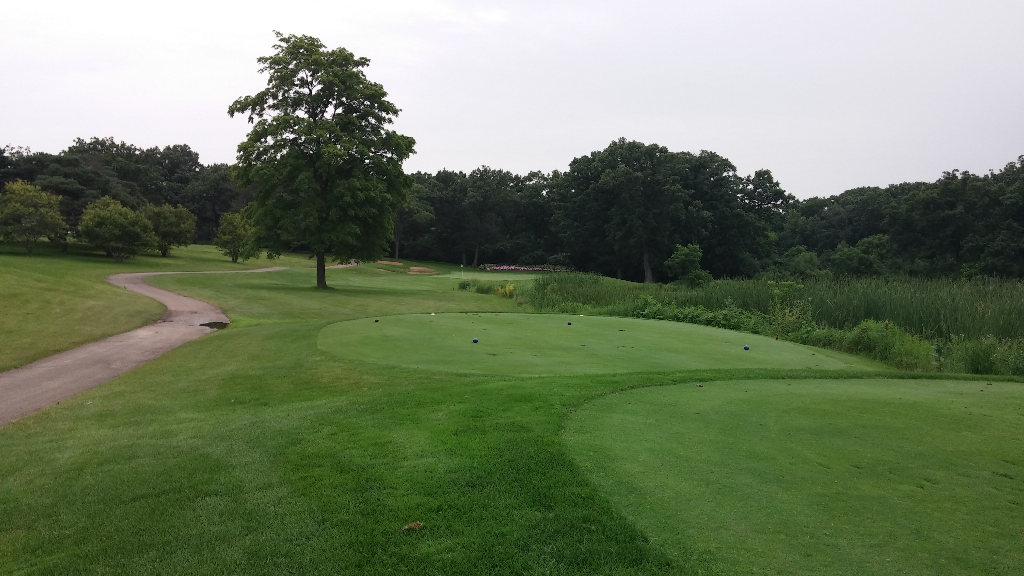 Seven Bridges Golf Course Woodridge Illinois United States Of 