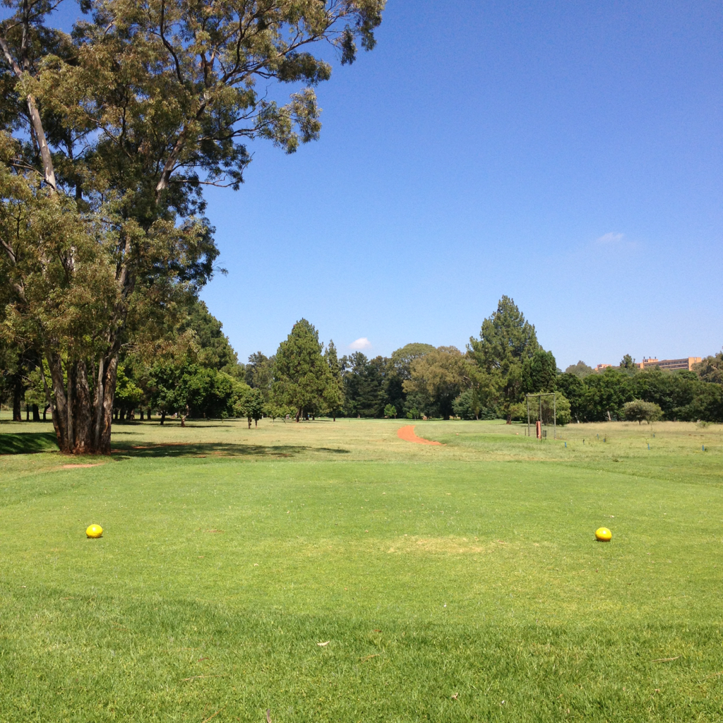 Services Golf Club Pretoria, Gauteng, South Africa Swing By Swing