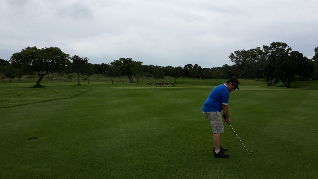 Kimiad Pretoria Gauteng South Africa Swingu